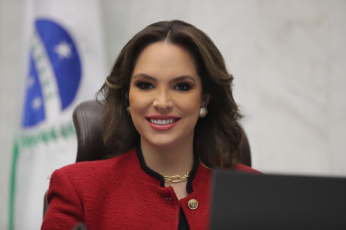Maria Victoria explica que a intenção é contribuir para que o serviço público estadual se adapte ao Estatuto da Pessoa com Deficiência – Lei 13.146/2015. / Créditos: Orlando Kissner/Alep