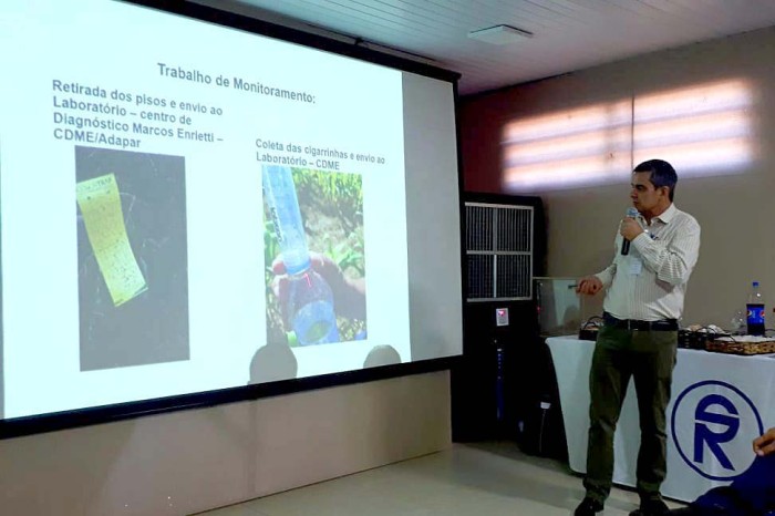 Foto: Adapar-Paraná