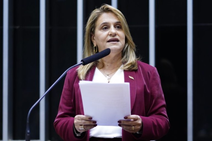 Silvia Massruhá é a primeira mulher que irá assumir, em 50 anos, a presidência da Embrapa - (Foto: Pablo Valadares / Câmara dos Deputados)