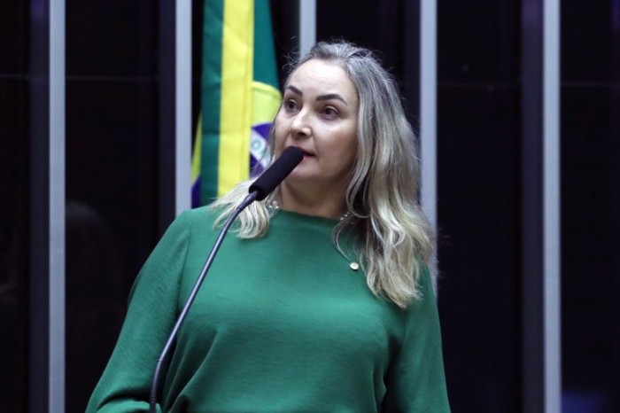 Daniela Reinehr recomendou a aprovação da proposta - (Foto: Bruno Spada/Câmara dos Deputados)