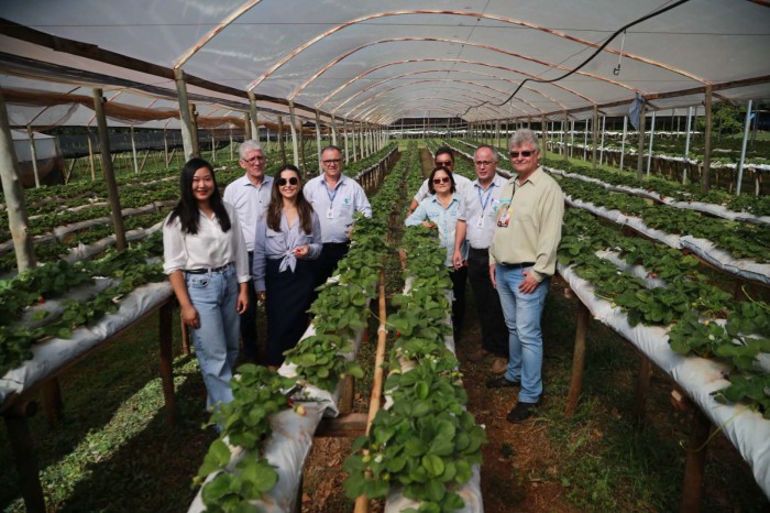 Foto: Valdelino Pontes