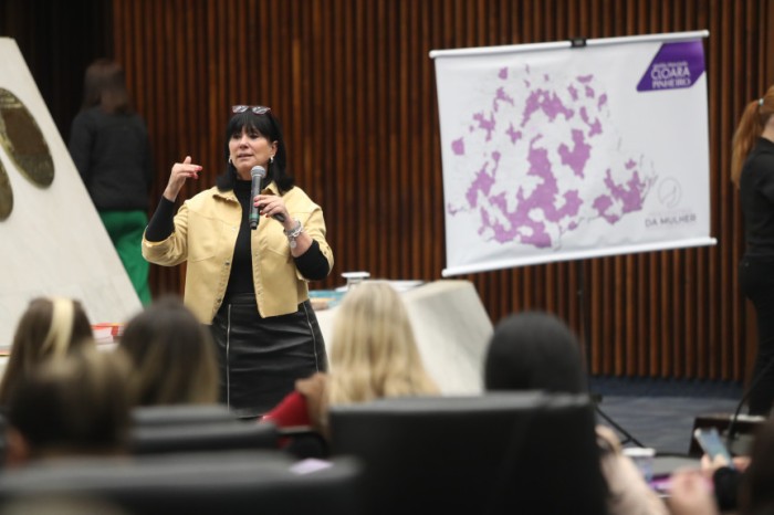 Durante a apresentação, Elenice Malzoni tratou das ações da Casa da Mulher Brasileira de Curitiba no enfrentamento à violência contra as mulheres. / Créditos: Orlando Kissner/Alep