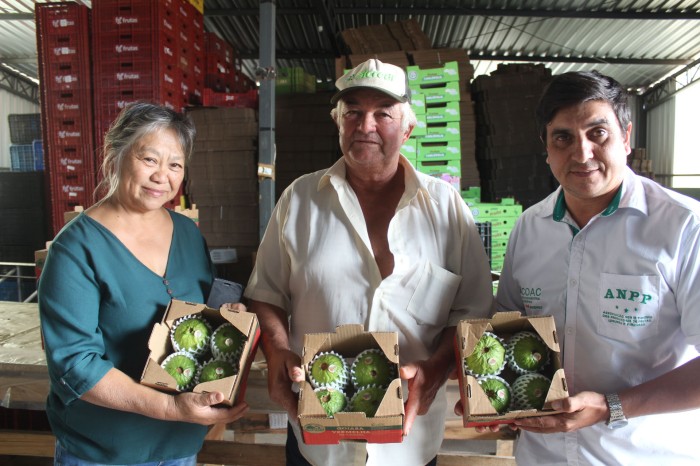 Foto: Gisele Barão-Seab-Pr