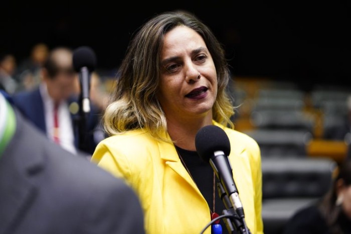 Fernanda Melchionna questiona legalidade de orientações publicadas em março deste ano - (Foto: Pablo Valadares/Câmara dos Deputados)