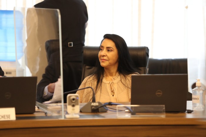 O projeto altera a Lei 17.806/2013 que institui a Semana Estadual de Combate à violência Doméstica e Sexual contra a Mulher, ampliando a temática para violência doméstica e familiar. / Créditos: Divulgação