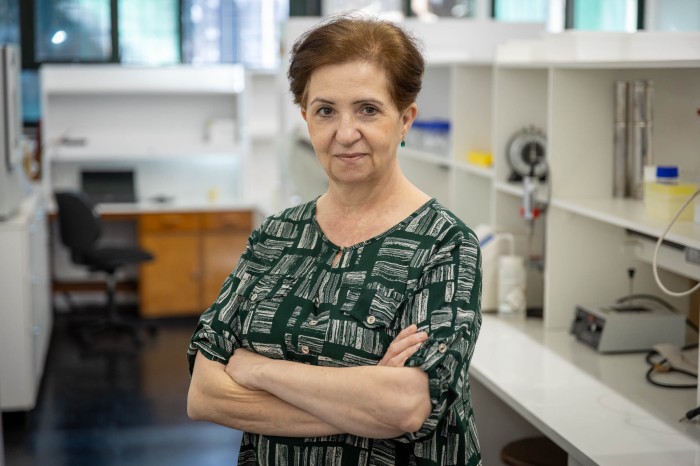 Foto: Heito Marcon/UEM