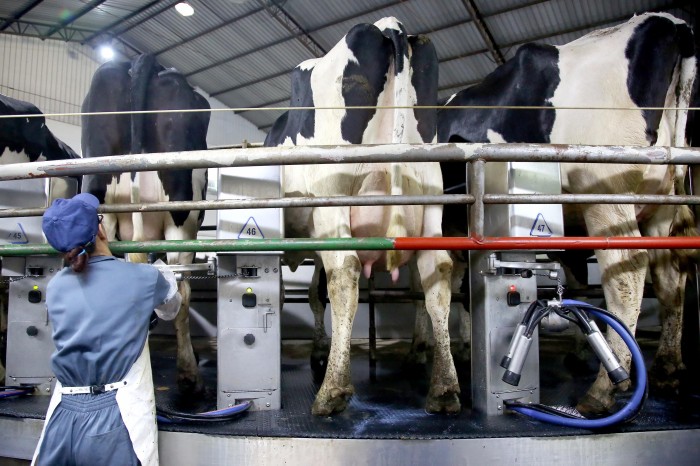 Foto: Jaelson Lucas/ Arquivo AEN