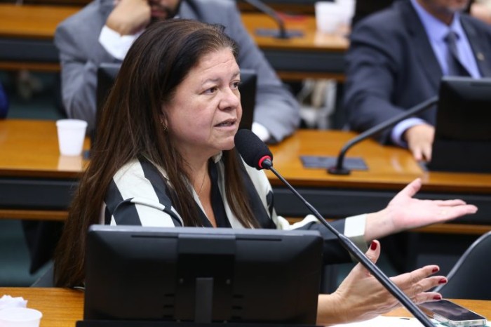 Laura Carneiro: prejuízos para os filhos de vítimas de feminicídio ocorrem em todos os níveis - (Foto: Vinicius Loures/Câmara dos Deputados)