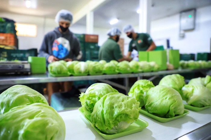 Foto: José Fernando Ogura