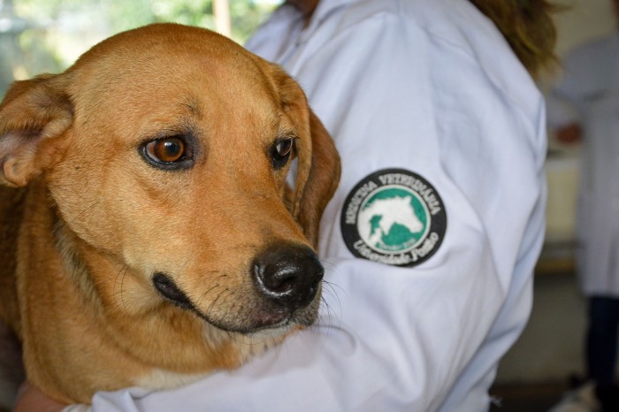Foto: Polícia Penal do Paraná