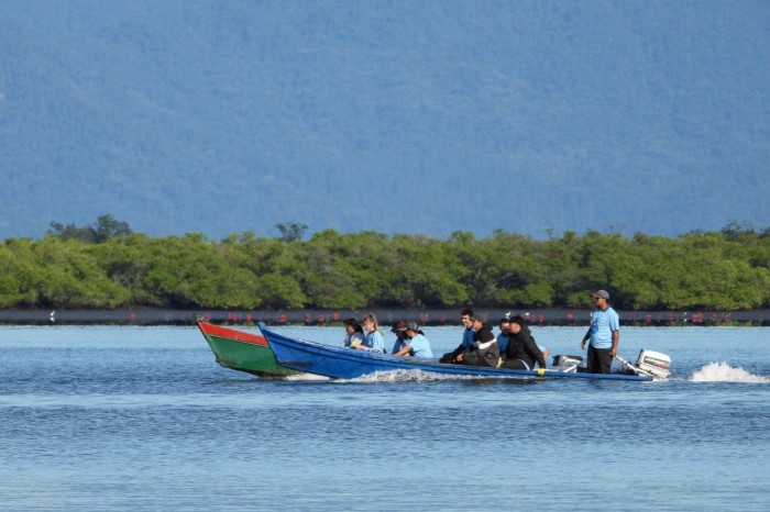 Foto: Edgar Fernandez/Instituto Guaju