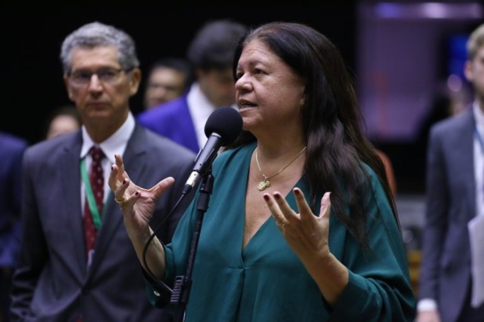 A relatora, deputada Laura Carneiro, recomendou a aprovação da proposta - (Foto: Vinicius Loures/Câmara dos Deputados)