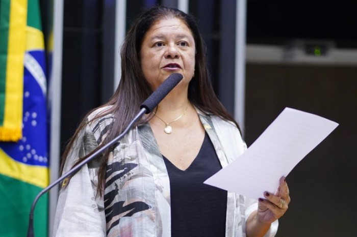 Laura Carneiro recomendou a aprovação da proposta, com mudanças no texto original - (Foto: Pablo Valadares / Câmara dos Deputados)