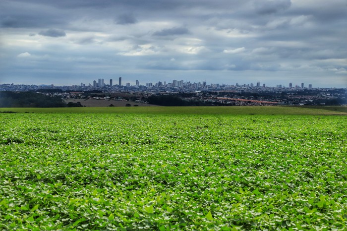 Foto: José Fernando Ogura