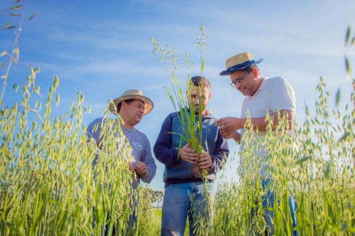 Foto: Jéssica Natal/UEPG