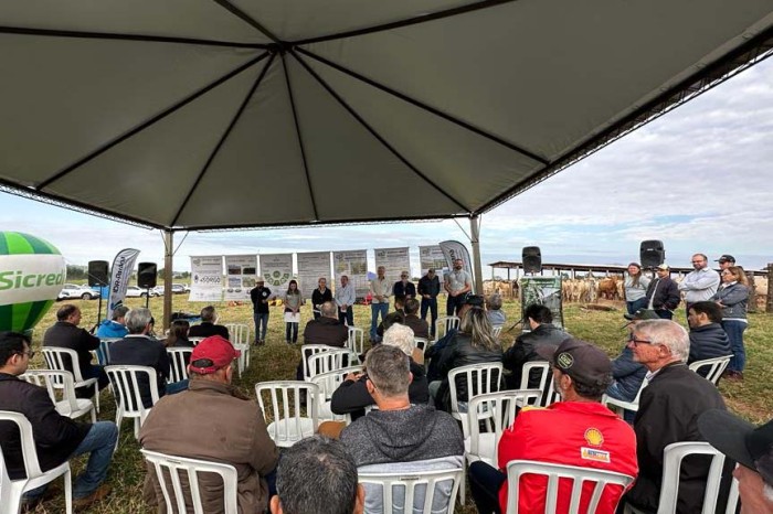 Foto: Reprodução/Secom Paraná