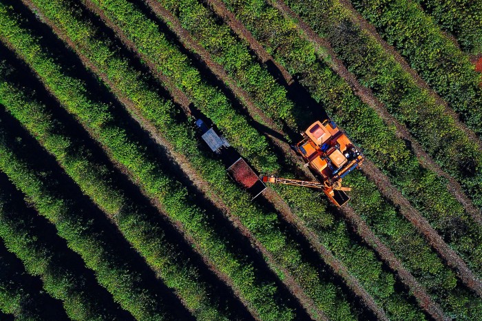 Foto: José Fernando Ogura
