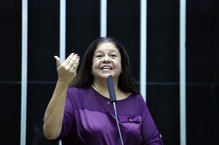 Laura Carneiro recomendou a aprovação da proposta - (Foto: Bruno Spada/Câmara dos Deputados)