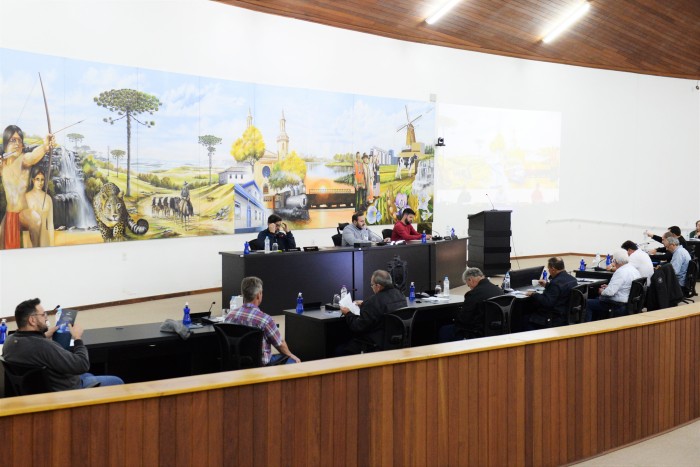 Foto: Reprodução/Câmara Municipal de Castro - PR