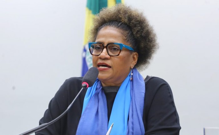 Reginete Bispo quer discutir educação de idosos em cursos de formação de professores - (Foto: Zeca Ribeiro / Câmara dos Deputados.)