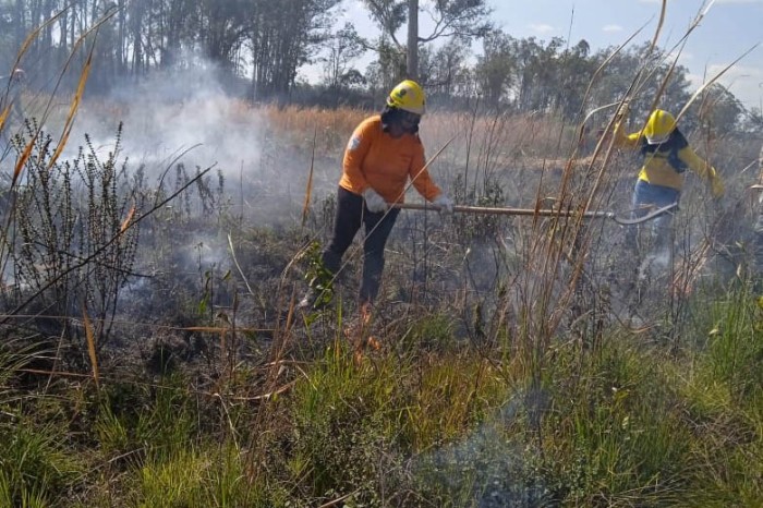 Foto: Reprodução/Secom Paraná