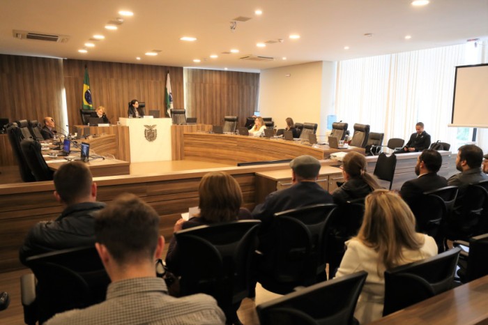 Encontro ocorreu na tarde desta quarta-feira (9), no Auditório Legislativo da Casa. / Créditos: Orlando Kissner/Alep