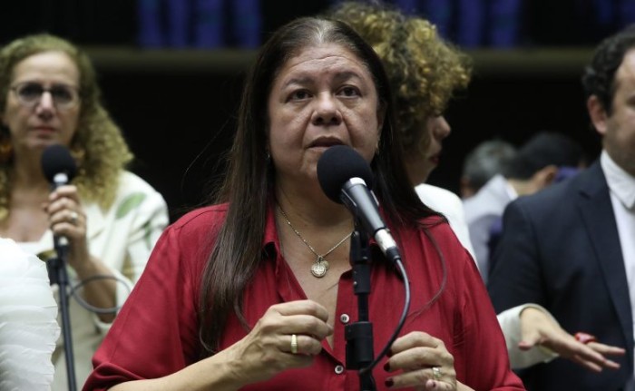 Segundo Laura Carneiro, projeto garante tratamento digno e eficaz - (Foto: Bruno Spada/Câmara dos Deputados)
