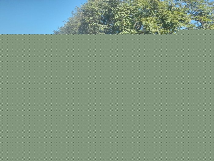 Foto: Reprodução/Prefeitura de Ponta Grossa - PR