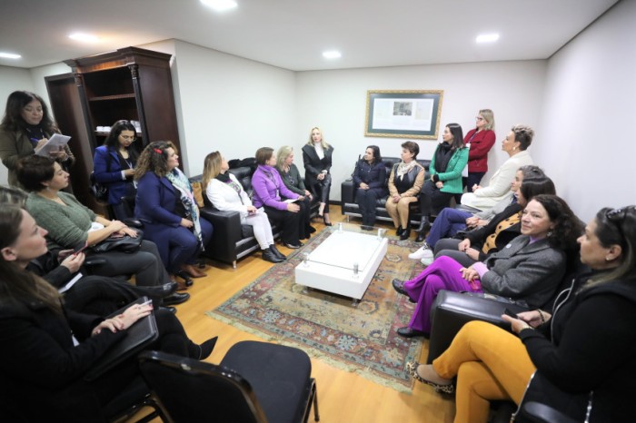 Reunião ocorreu na Sala Arnaldo Busato no início da tarde desta segunda-feira (14). / Créditos: Orlando Kissner/Alep
