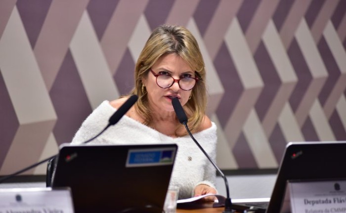 Flávia Morais: novo texto traz segurança jurídica para repactuar obras - (Foto: Zeca Ribeiro/Câmara dos Deputados)