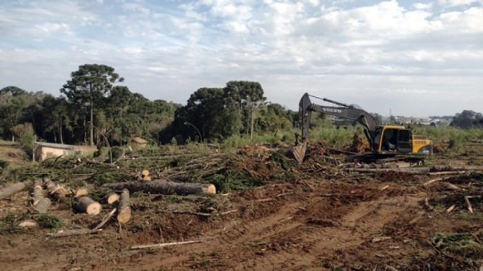 “Não é possível que ainda se autorize o corte de araucárias desta forma, sem considerar o impacto que a supressão dessas árvores representa. Além de tudo, há indícios, conforme fotos do local, que não foram só cortadas as araucárias, a vegetação foi corta