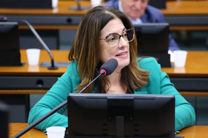 Rogéria Santos fez ajustes no texto original do projeto - (Foto: Vinicius Loures/Câmara dos Deputados)