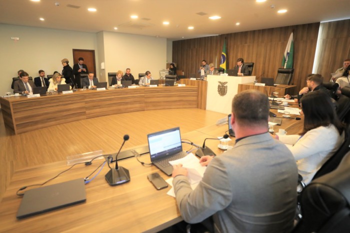 Reunião ocorreu no início da tarde desta terça-feira (15), no Auditório Legislativo. / Créditos: Orlando Kissner/Alep