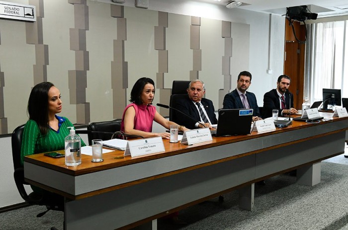 Audiência pública na CTFC foi requerida pelo relator do PL 2.914/2022, senador Izalci Lucas, que a presidiu - Foto: Roque de Sá/Agência Senado