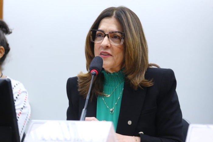 Rogéria Santos: proposta acaba com insegurança jurídica e financeira posterior à separação da mulher agredida  - (Foto: Vinicius Loures/Câmara dos Deputados)