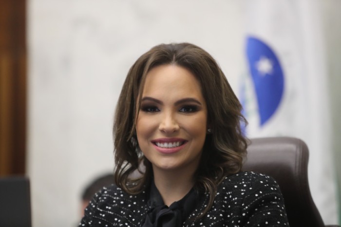 Com recursos específicos, uma legislação moderna, políticas públicas eficientes e com a adoção de novas tecnologias estaremos construindo um Estado inclusivo, protetor com mais oportunidades para as pessoas com deficiência”, disse a deputada. / Créditos: 