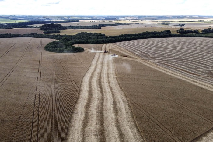 Foto: Jonathan Campos/AEN