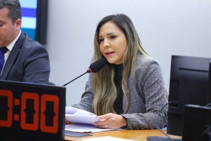 Andreia Siqueira recomendou a aprovação da proposta - (Foto: Vinicius Loures/Câmara dos Deputados)