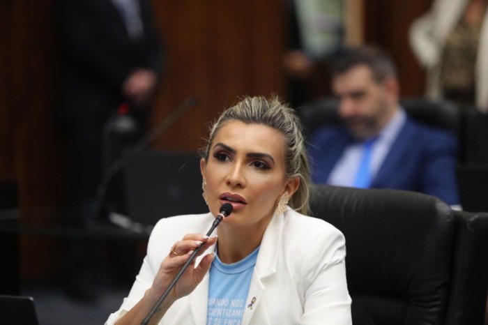 A parlamentar, que é mãe de um adolescente autista, questionou os deputados sobre a necessidade de acelerar os trabalhos para a construção do Código do Autismo. / Créditos: Divulgação