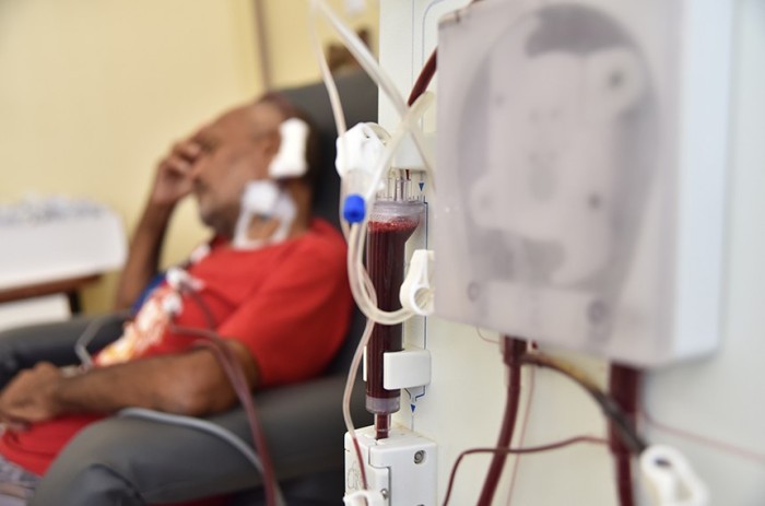 O dia será celebrado anualmente na última quinta-feira de agosto - Foto: Pillar Pedreira/Agência Senado