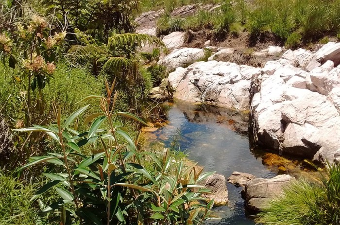 Áreas consideradas críticas para o abastecimento público de água terão preferência - Foto: Divulgação/Wikipédia