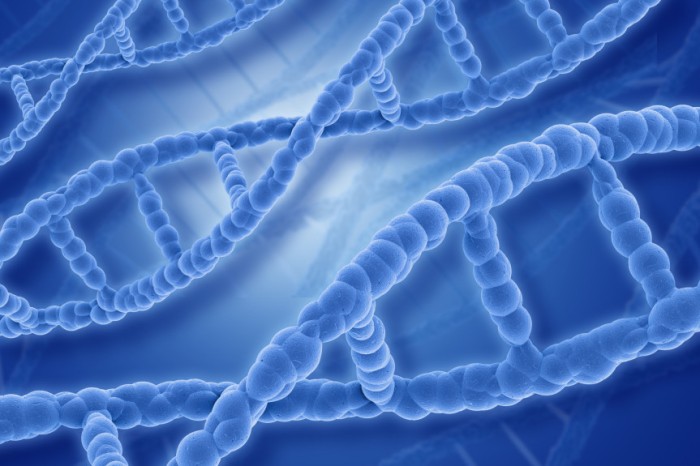 A esclerose tuberosa é uma doença genética que afeta diversos órgãos do corpo e leva ao desenvolvimento de tumores benignos. Sem tratamento, pode evoluir rapidamente e comprometer as funções do sistema atingido, levando a disfunções em graus variáveis em 