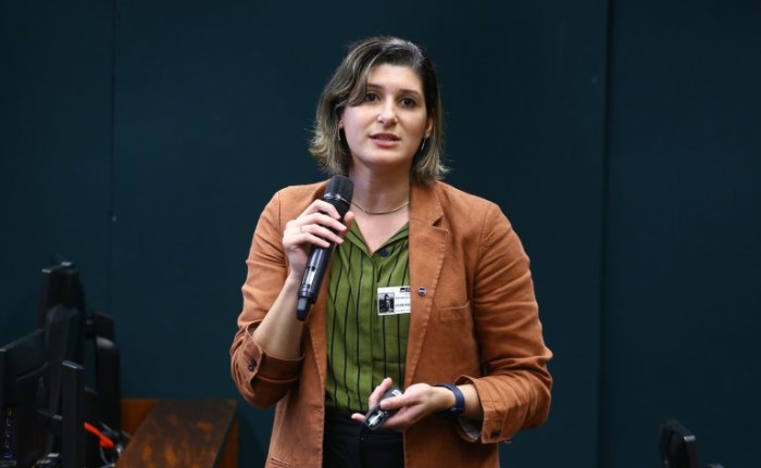 Mariana de Assis: metalurgia e cimento são segmentos da indústria nacional que mais emitem GEEs - (Foto: Vinicius Loures/Câmara dos Deputados)