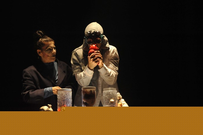 Foto: Vilmar Carvalho