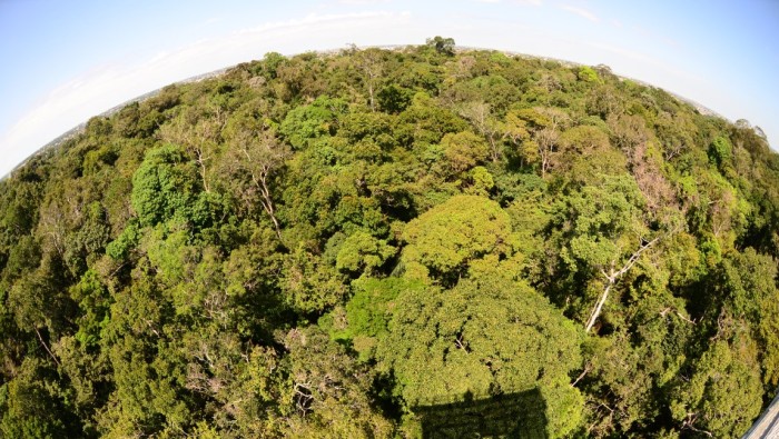 Floresta possui diversas experiências para turistas do Brasil e do mundo. Crédito: Mário Oliveira/MTur