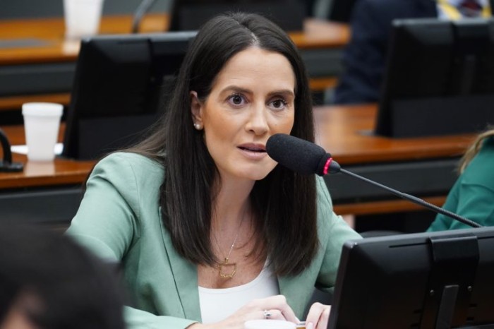 Amália Barros apresentou substitutivo para adequar proposta ao pacto federativo - (Foto: Pablo Valadares / Câmara dos Deputados)