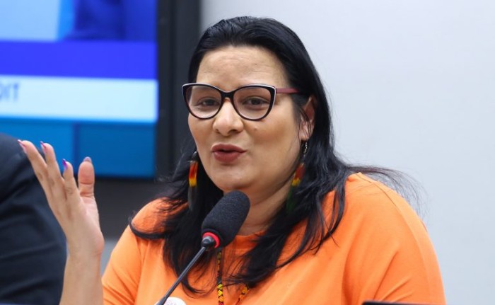 Juliana Cardoso é a autora do requerimento - (Foto: Vinicius Loures / Câmara dos Deputados)