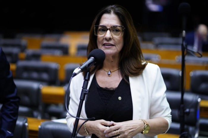A relatora, deputada Rogéria Santos - (Foto: Pablo Valadares/Câmara dos Deputados)