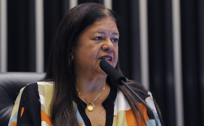 A relatora, deputada Laura Carneiro, recomendou a aprovação da proposta - (Foto: Renato Araújo / Câmara dos Deputados)