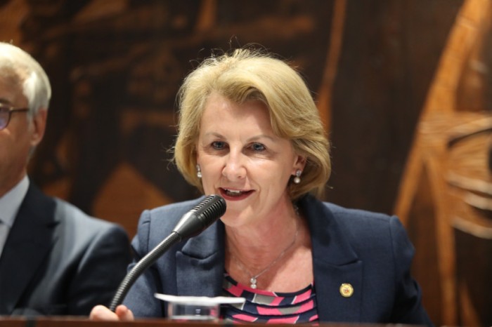 De acordo com Márcia, a consolidação das leis de uma área é importante para melhorar a transparência, o acesso e a utilização da legislação vigente – tanto por parte de gestores e legisladores como da população em geral. / Créditos: Valdir Amaral/Alep